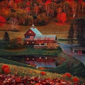 Meet your Posher, Terry